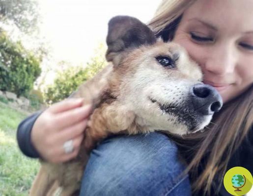 Este voluntário adota os cães idosos que ninguém quer para não deixá-los morrer no canil