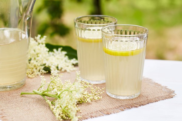 Elderflower: recipes, how to use them in cooking and how to store them