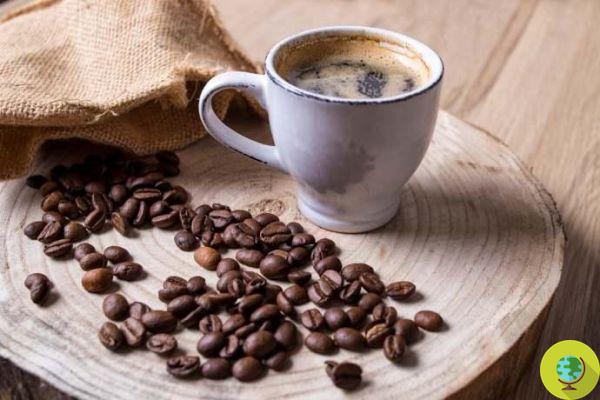 Beber tres tazas de café al día puede desencadenar ataques severos de migraña