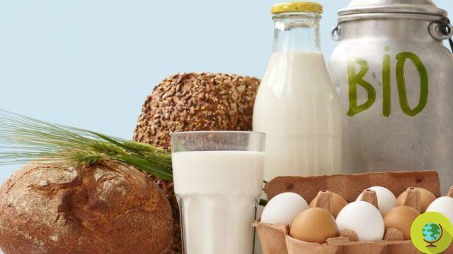 Milk and meat: choose them organic, if you really have to