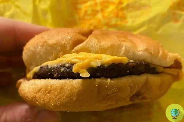 Find a McDonald's cheeseburger after 5 years and it's still intact (but that's nothing new)