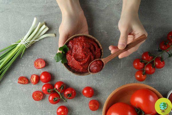 Comment préparer la pâte de tomate avec 2 ingrédients, en évitant les pesticides et les moisissures