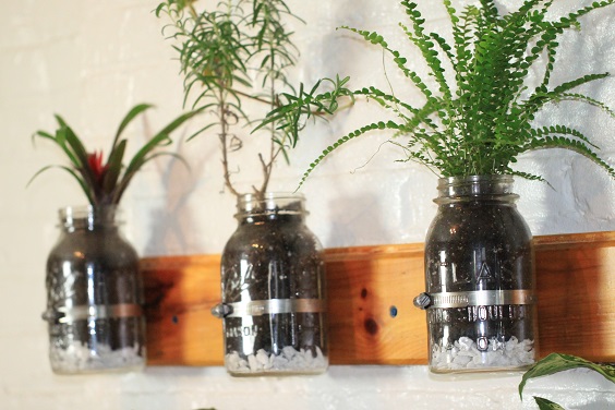 How to build a mini garden with glass jars in 10 steps