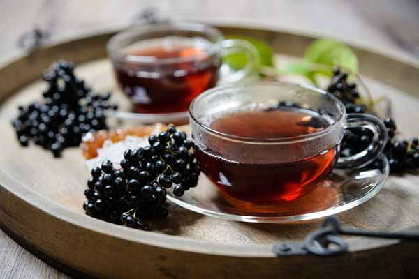 Elderberry: the fantastic healing properties, uses, recipes and contraindications
