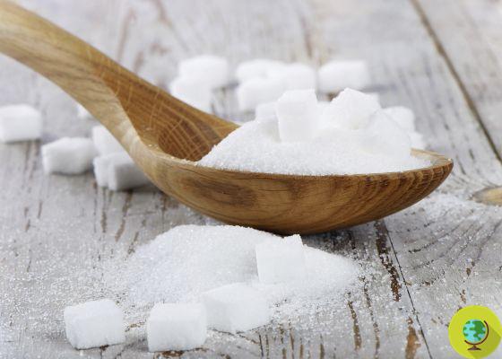 Tumores y metástasis: es (también) culpa del azúcar refinado
