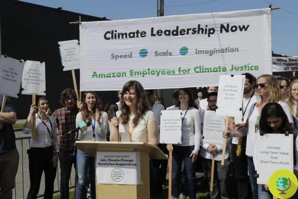 Amazon employees are risking their jobs to protest the company's environmental policies