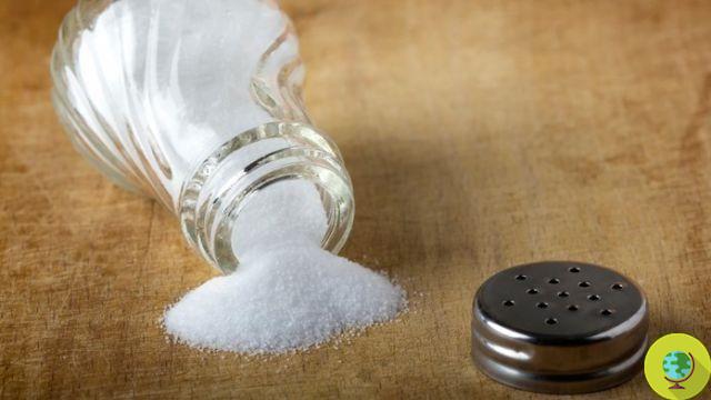Plastic even in kitchen salt: the new disturbing study