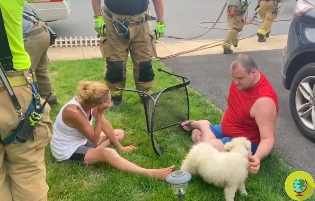 It took 5 firefighters to rescue this dog trapped in a chair