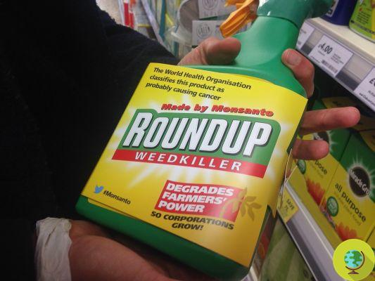Roundup Monsanto and cancer: the two brave farmers who took the multinational to court
