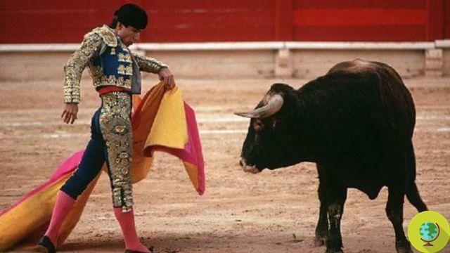 Mais financiamento para as touradas, Madrid assina protocolo para salvá-la e transformá-la em património cultural