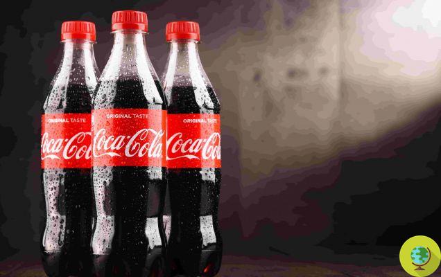 Coca cola, el primer contaminador plástico del mundo se niega a eliminar las botellas de un solo uso