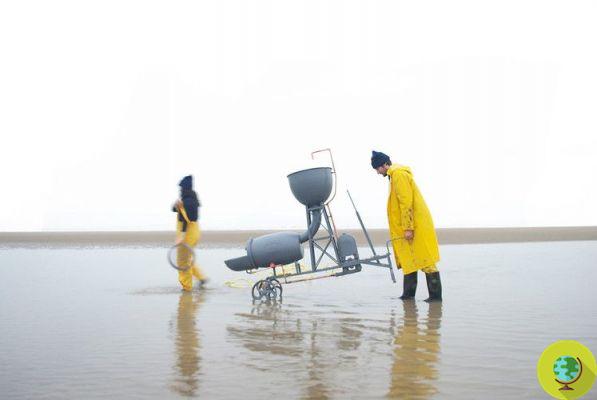 Sea Chair Project: sillas creadas con plástico recogido del océano
