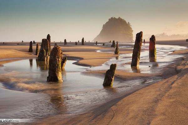 The amazing Neskowin ghost forest (PHOTO and VIDEO)