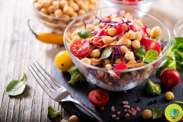 The vegetarian diet reduces premature deaths by 1/3, according to Harvard