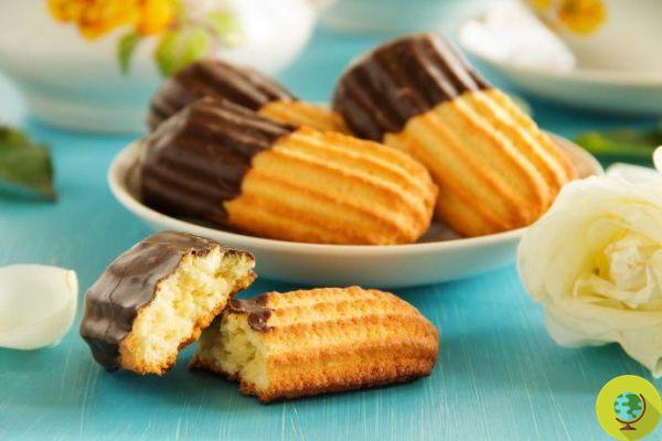 Galletas de chocolate: 20 recetas para todos los gustos