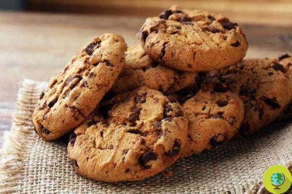 Chocolate biscuits: 20 recipes for all tastes