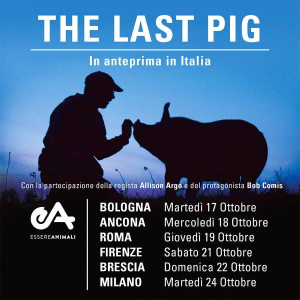 Le dernier cochon : le documentaire qui raconte l'histoire d'un éleveur de cochons repenti