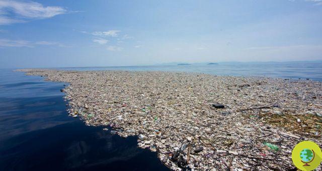 Ilha Reciclada: uma ilha flutuante de lixo para viver e habitar