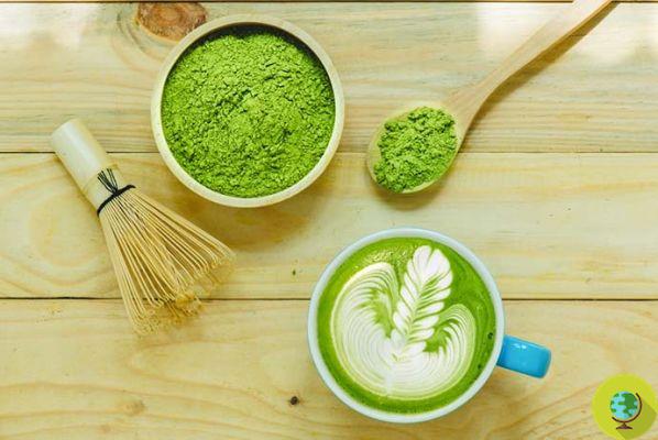  Matcha tea: all the properties, types and uses of the Japanese elixir