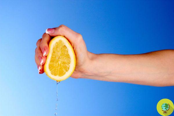 How do you squeeze lemons? We have always been wrong, the tricks to not waste even a drop