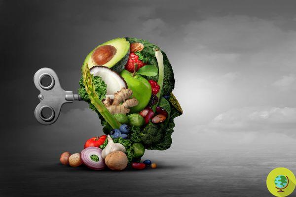 Alimentos para la mente: los mejores alimentos para recuperar la concentración perdida