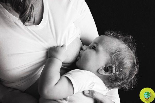 PFAS no leite materno: novo estudo certifica sua presença em porcentagens muito altas