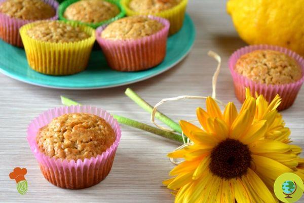 Lemon muffins: recipe without butter