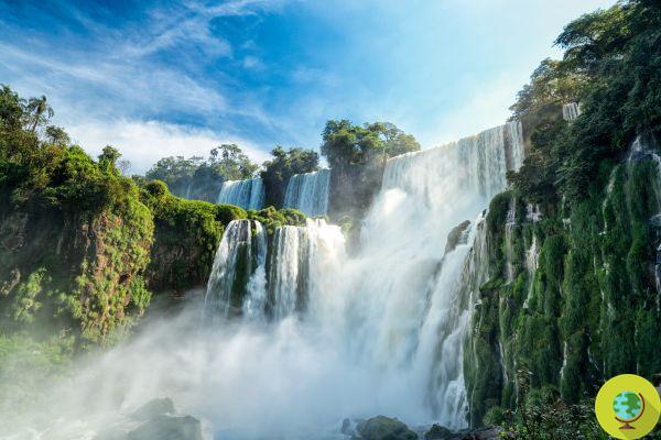A água retorna nas Cataratas do Iguaçu, que recuperam sua beleza após uma seca histórica