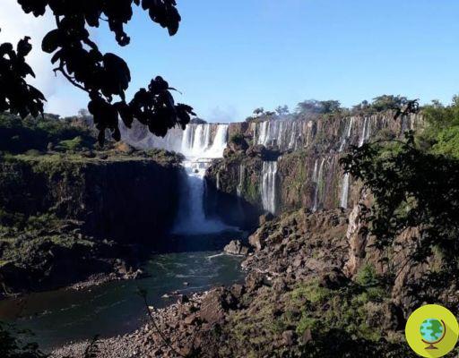 Vuelve el agua en las Cataratas del Iguazú, que recuperan su belleza tras histórica sequía
