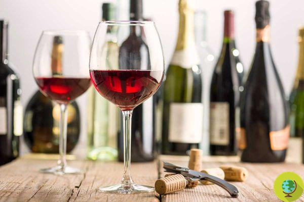 Too much sugar in the wine! Two glasses can contain more calories than a hamburger