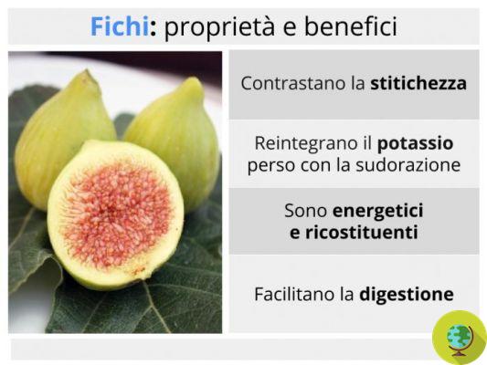 Figs: properties, benefits and calories
