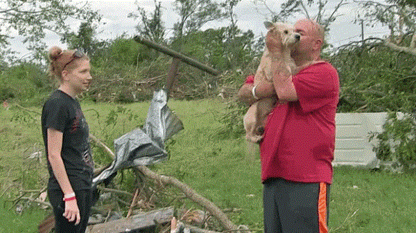 Tater, el perro que encuentra a su familia tras el terrible tornado de Texas