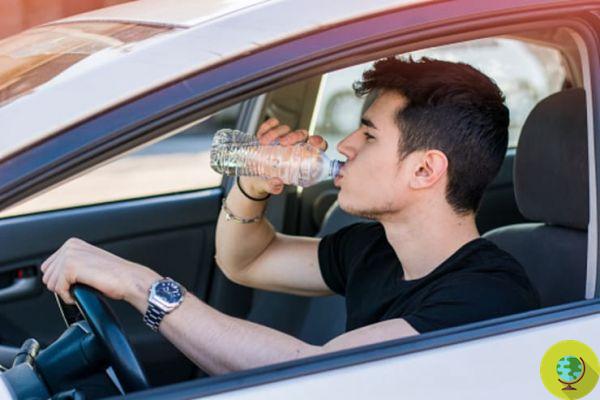 É proibido ficar ao volante se estiver desidratado: é tão perigoso quanto estar bêbado