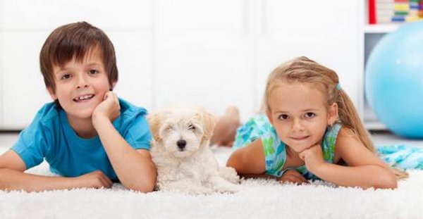 10 grandes razones para criar a los niños en compañía de mascotas