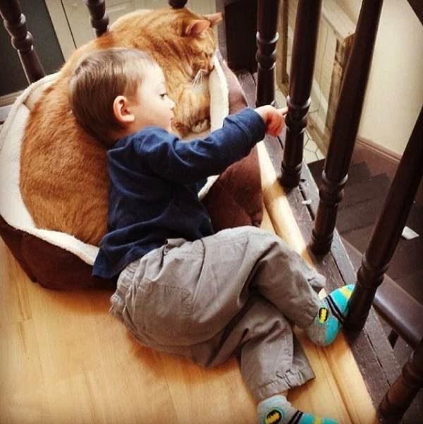 La tierna amistad entre un gato abandonado y el niño que lo salvó (FOTO)
