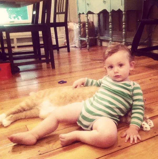 The tender friendship between an abandoned cat and the child who saved him (PHOTO)