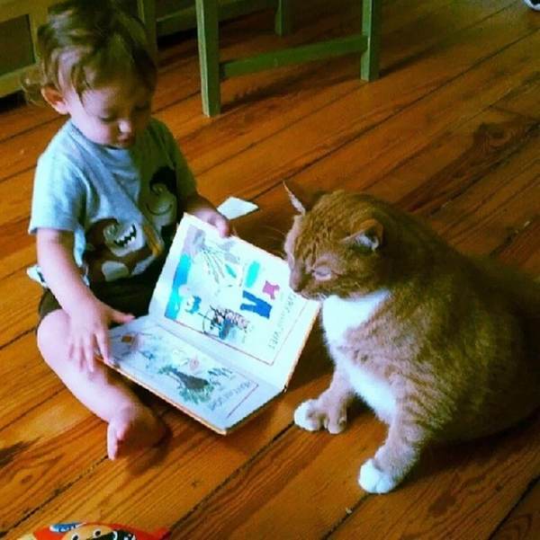 La tendre amitié entre un chat abandonné et l'enfant qui l'a sauvé (PHOTO)
