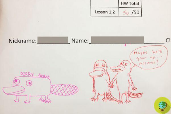 Drawings about homework with students. The teacher who educates while having fun