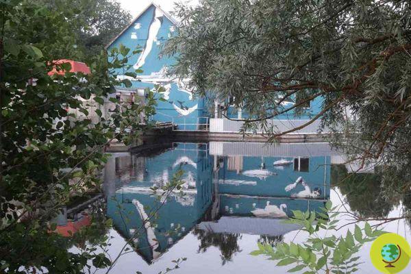 O mural que é apreciado plenamente apenas olhando seu reflexo na água