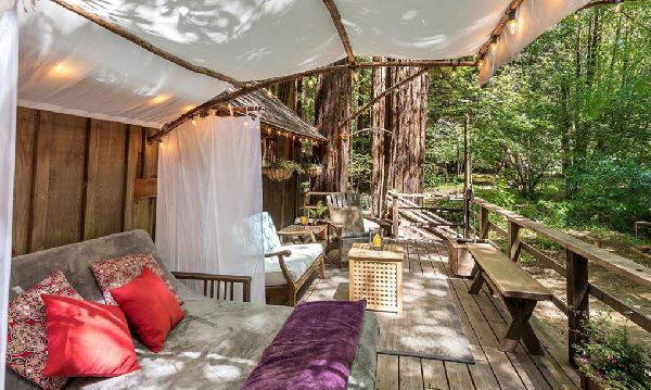 Tiny house : cabane dans les arbres à vendre qui coûte le même prix qu'un appartement en ville (PHOTO)