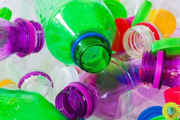 Em Portugal, o governo paga aos cidadãos 5 cêntimos por cada garrafa de plástico devolvida