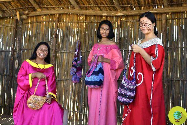 Bolsas a partir de desechos: en Colombia, el plástico es tejido con técnicas ancestrales por estos maravillosos artesanos indígenas