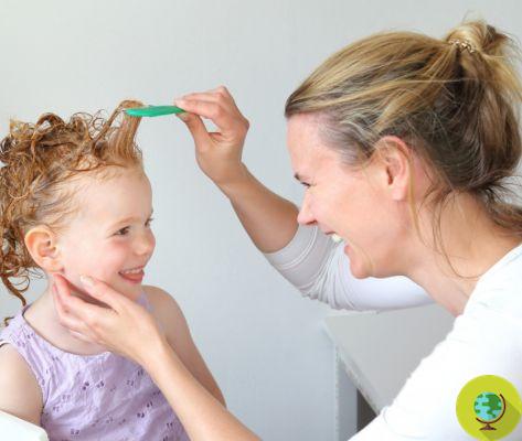 5 natural remedies for lice