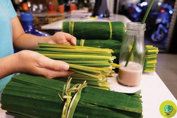 En Vietnam, pajitas biodegradables hechas de tallos de hierba