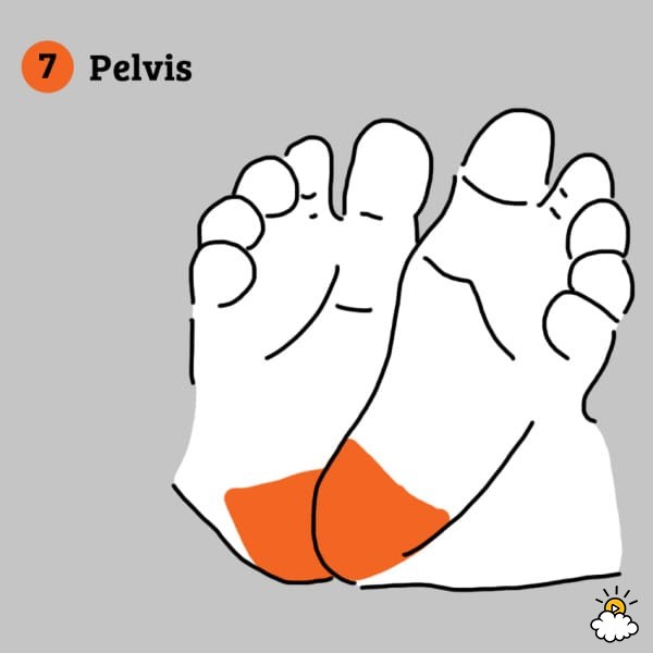 Foot reflexology for babies: all the benefits and points to massage to reduce the most common ailments