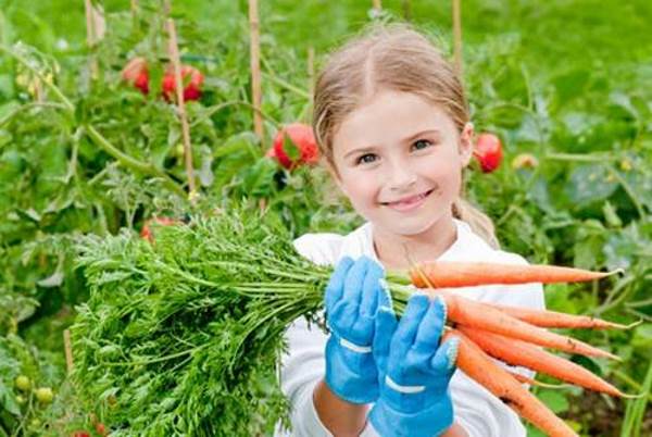 Gardening is good for children's health, the study confirms this