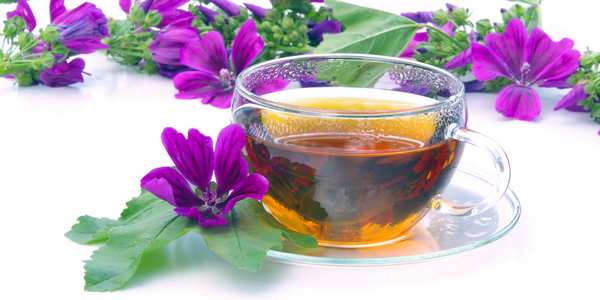 Os 12 melhores chás de ervas para resfriados e gripes