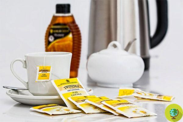 10 slimming herbal teas and diuretics