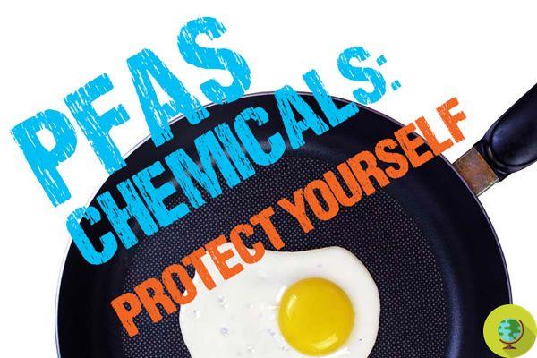 Pfas are everywhere and their long-term effects are still unknown. The only solution is to stop using them