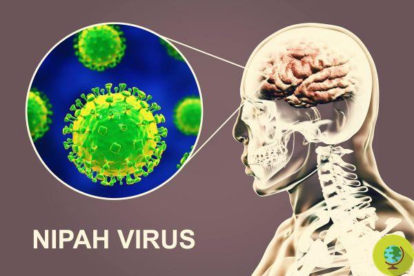Nipah: symptoms, outbreaks and how the new scary virus is transmitted